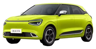 Dongfeng Nammi 01