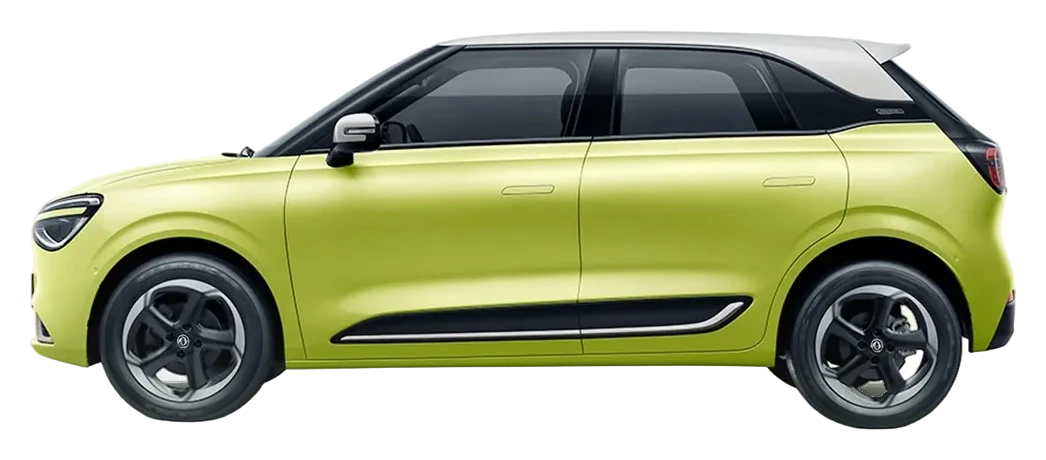 Dongfeng Nammi 01 photo