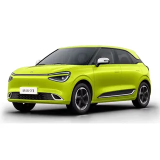 Dongfeng Nammi 01