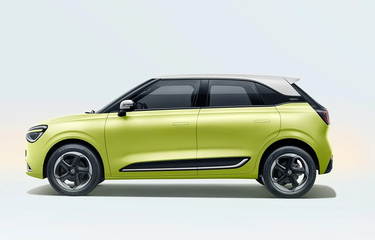 Dongfeng Nammi - Photo 3