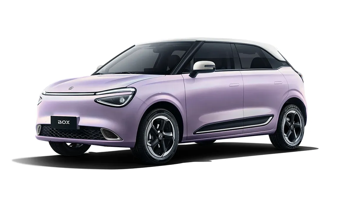 Dongfeng Nammi - Photo 4