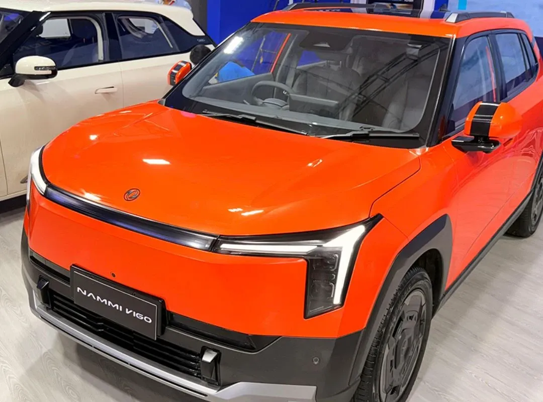 Dongfeng Nammi Vigo - Photo 3