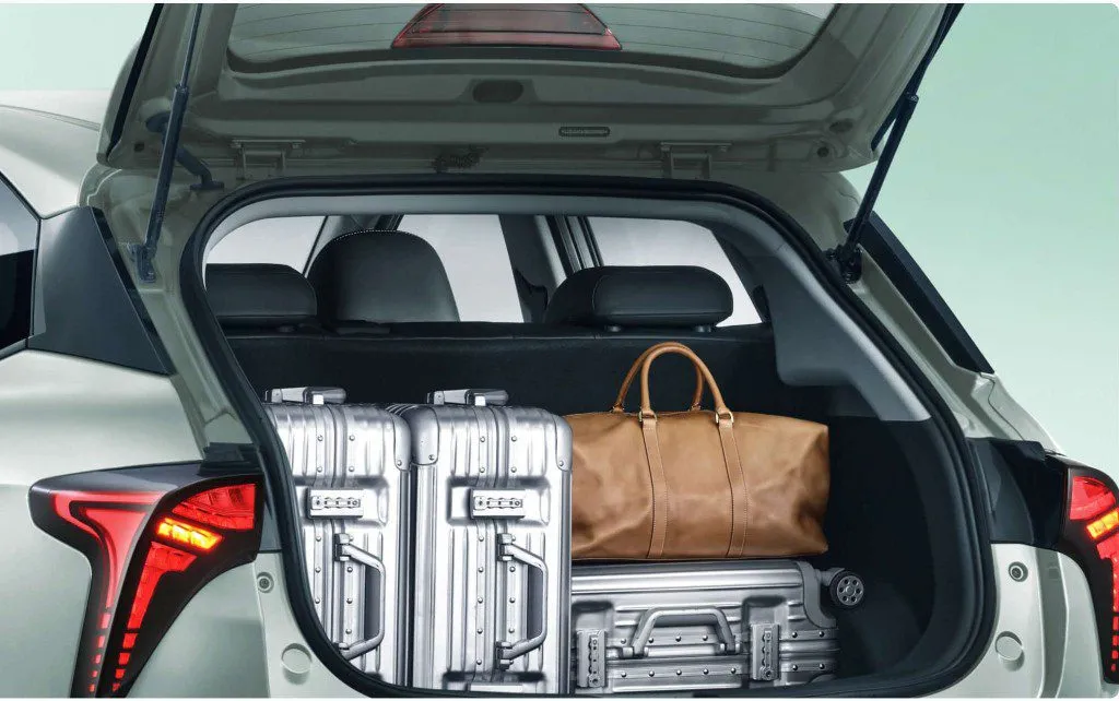 Hozon Neta V - Photo 2