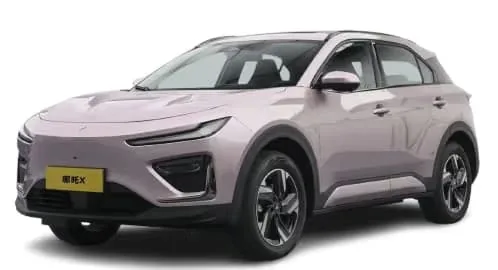 Hozon Neta X - Photo 1