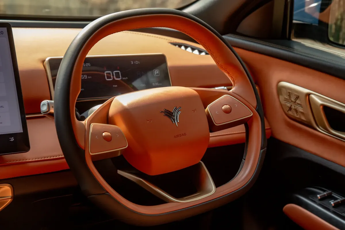 Hozon Neta X - Photo 7