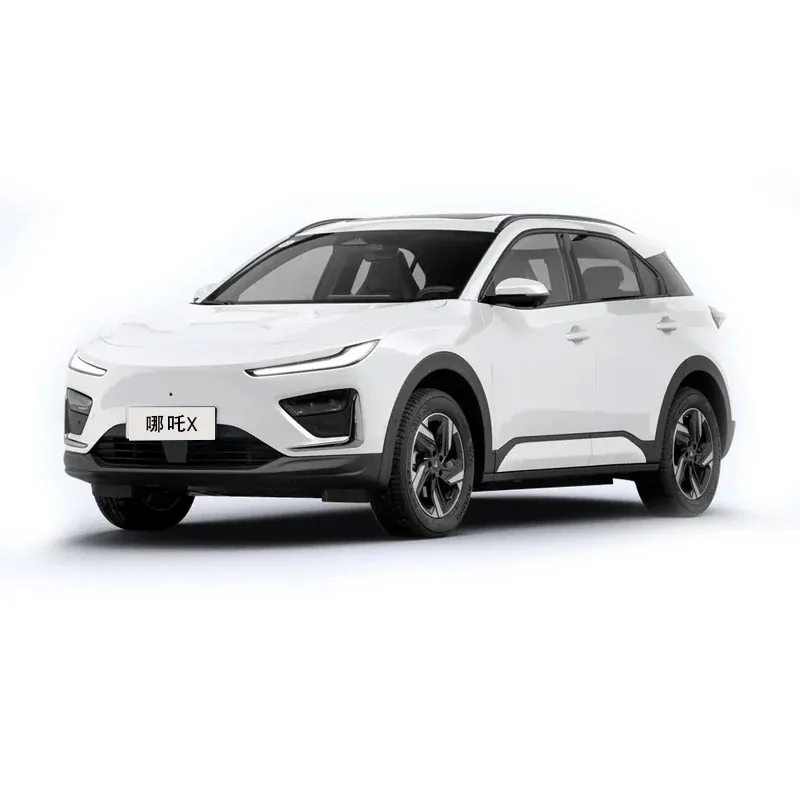 Hozon Neta X - Photo 1