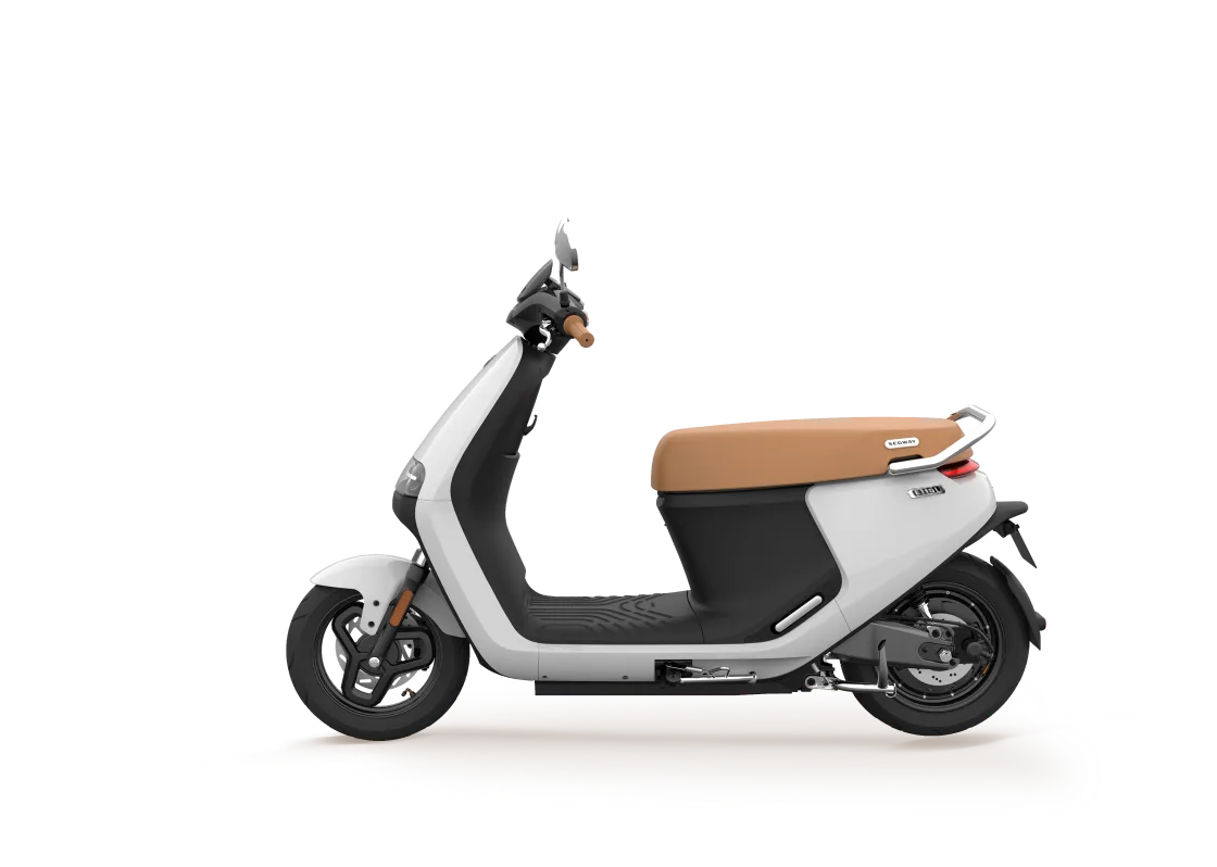 Segway E110L 2