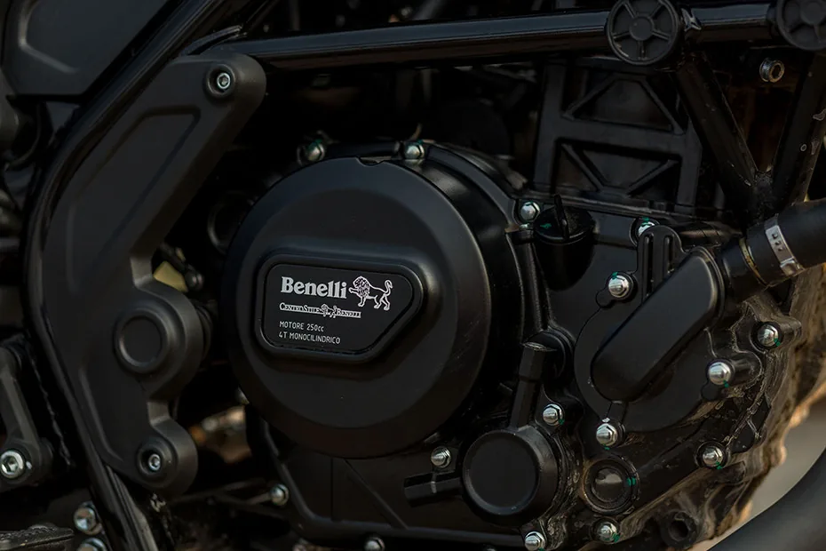 Benelli Leoncino 250 - Photo 4