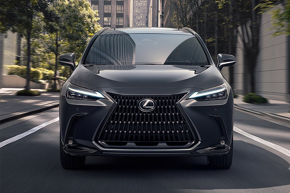 Lexus NX 350h Luxury thumbnail 2