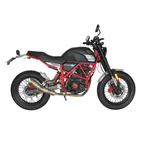 Motorhead Scrambler 250 - Photo 1
