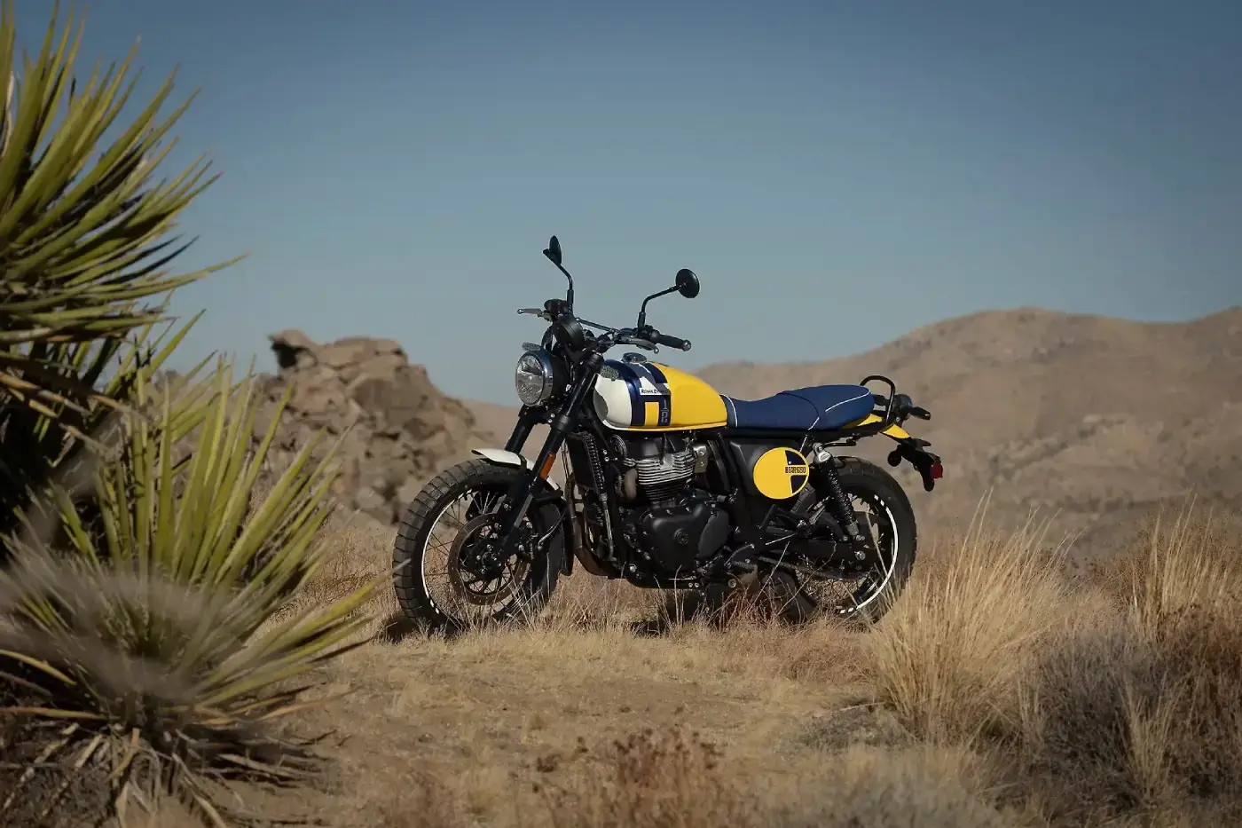 Royal Enfield Bear 650 thumbnail 5