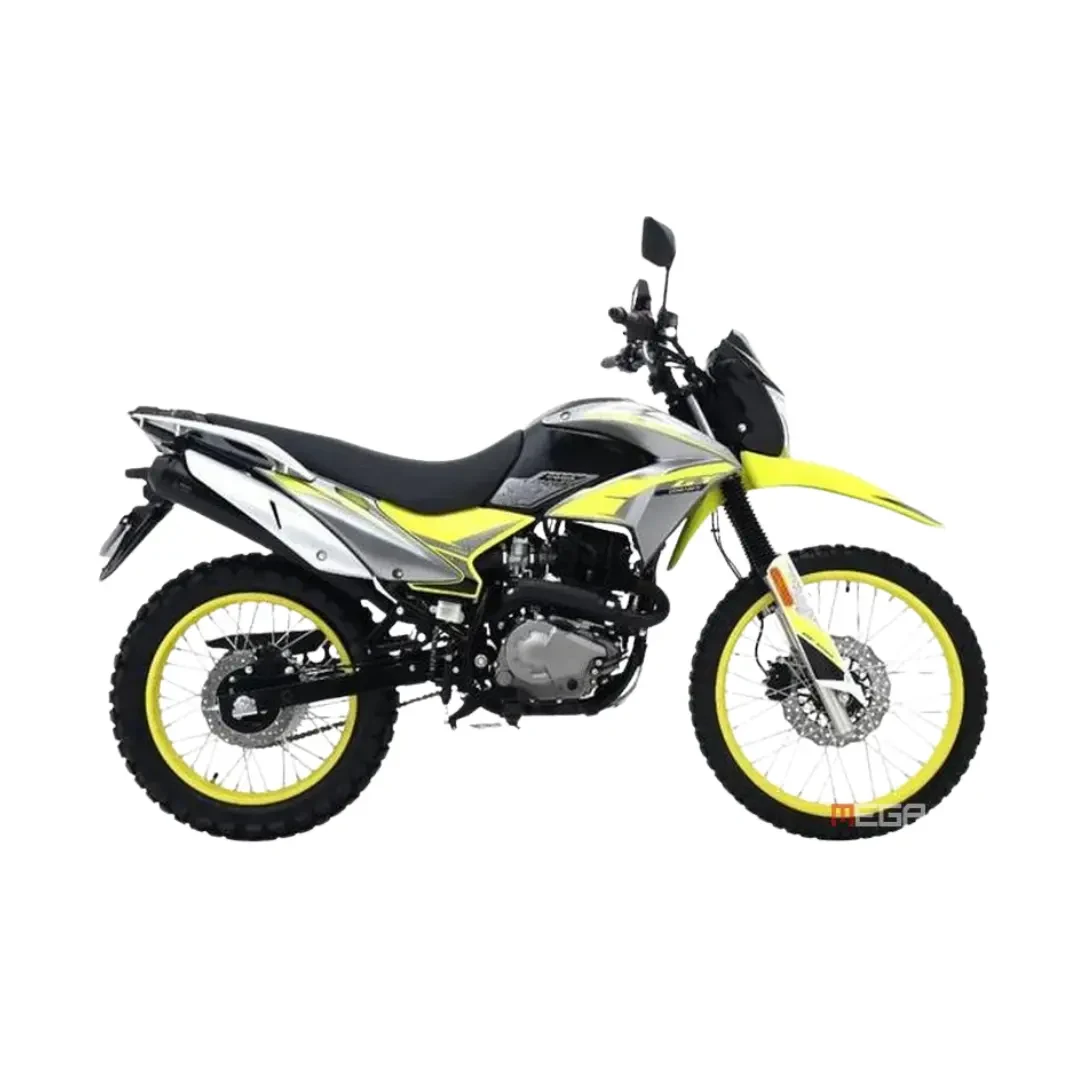 Zonsen 250X (ZS250GY-4) - Photo 1