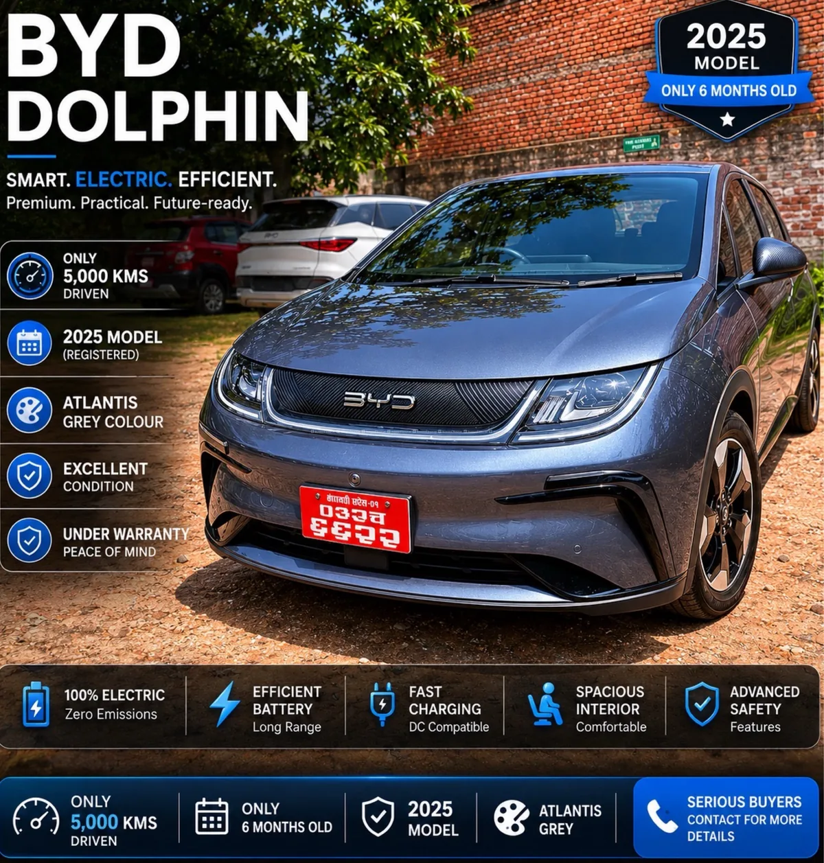 BYD Dolphin 2025 - December purchase
