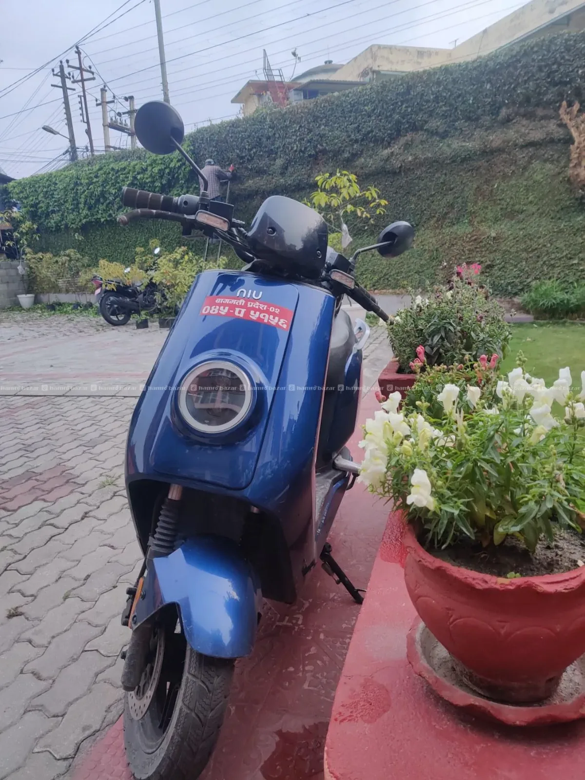 Niu NQI Sport with valid warranty in battery