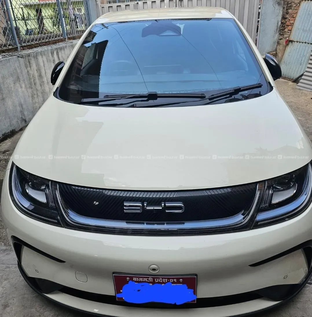 Byd dolphin