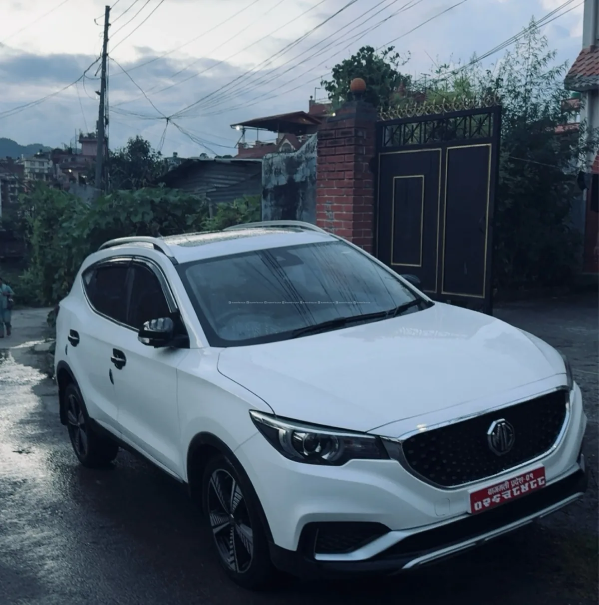 Mg zs ev 2021