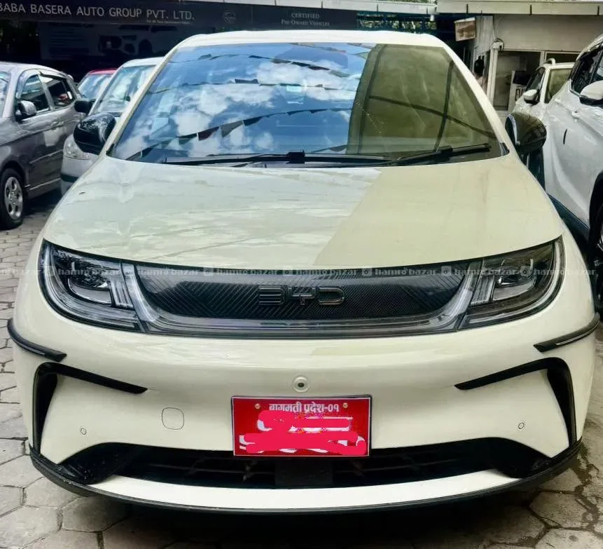 2024 byd dolphin car for sale