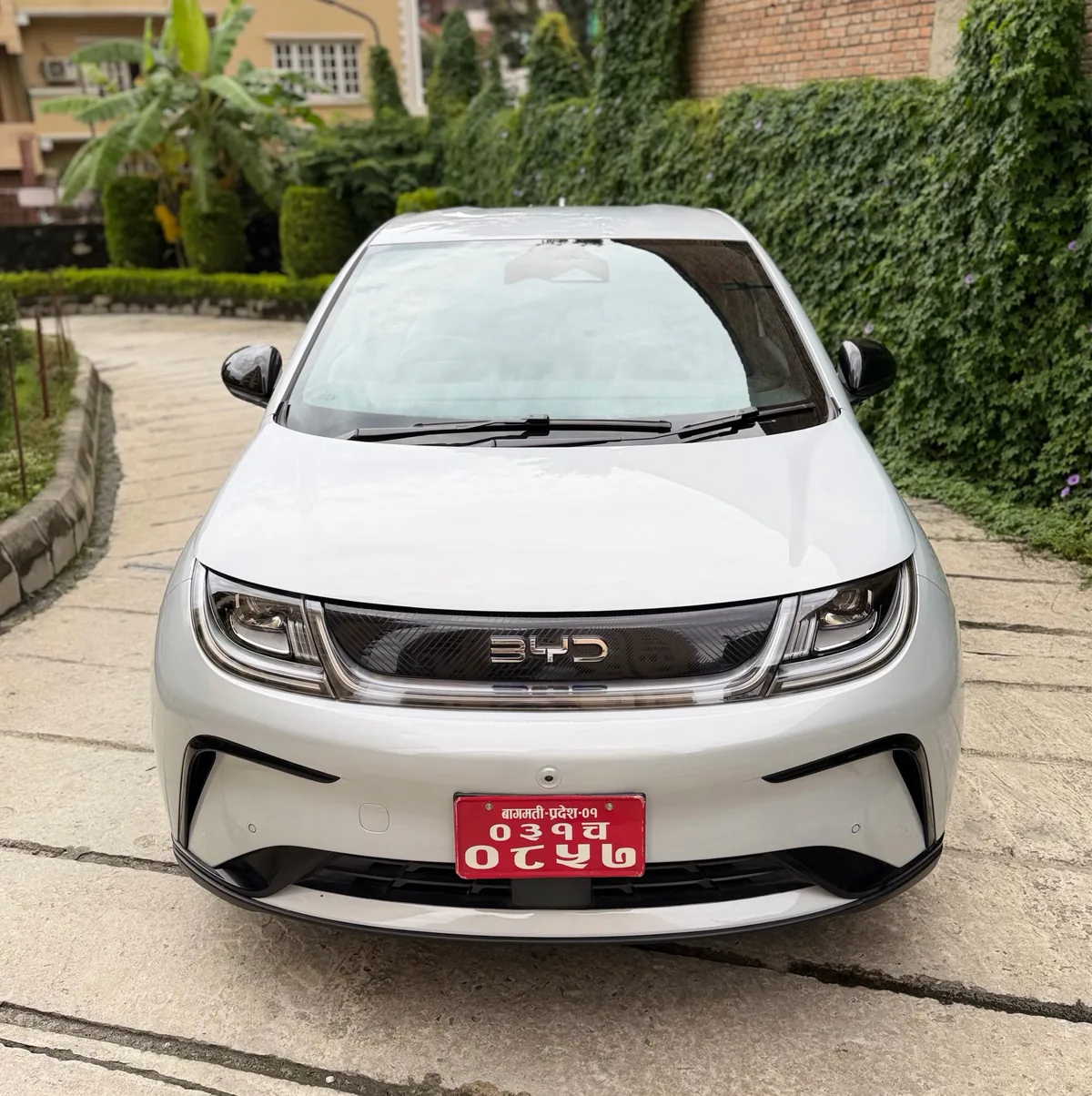 BYD DOLPHIN STANDARD
Model: 2024 single hand