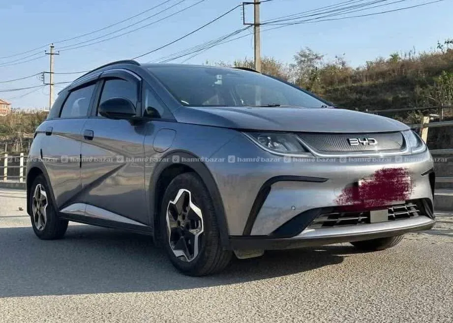 byd dolphin