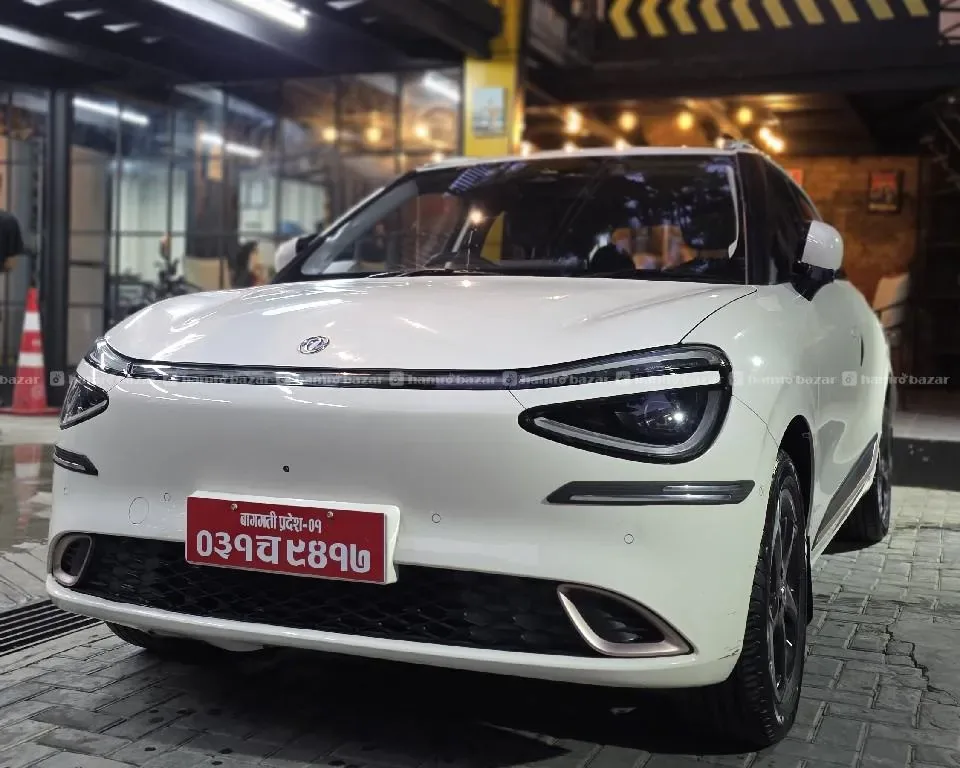 Super fresh 2025 model dongfeng nammi E3 for sale.