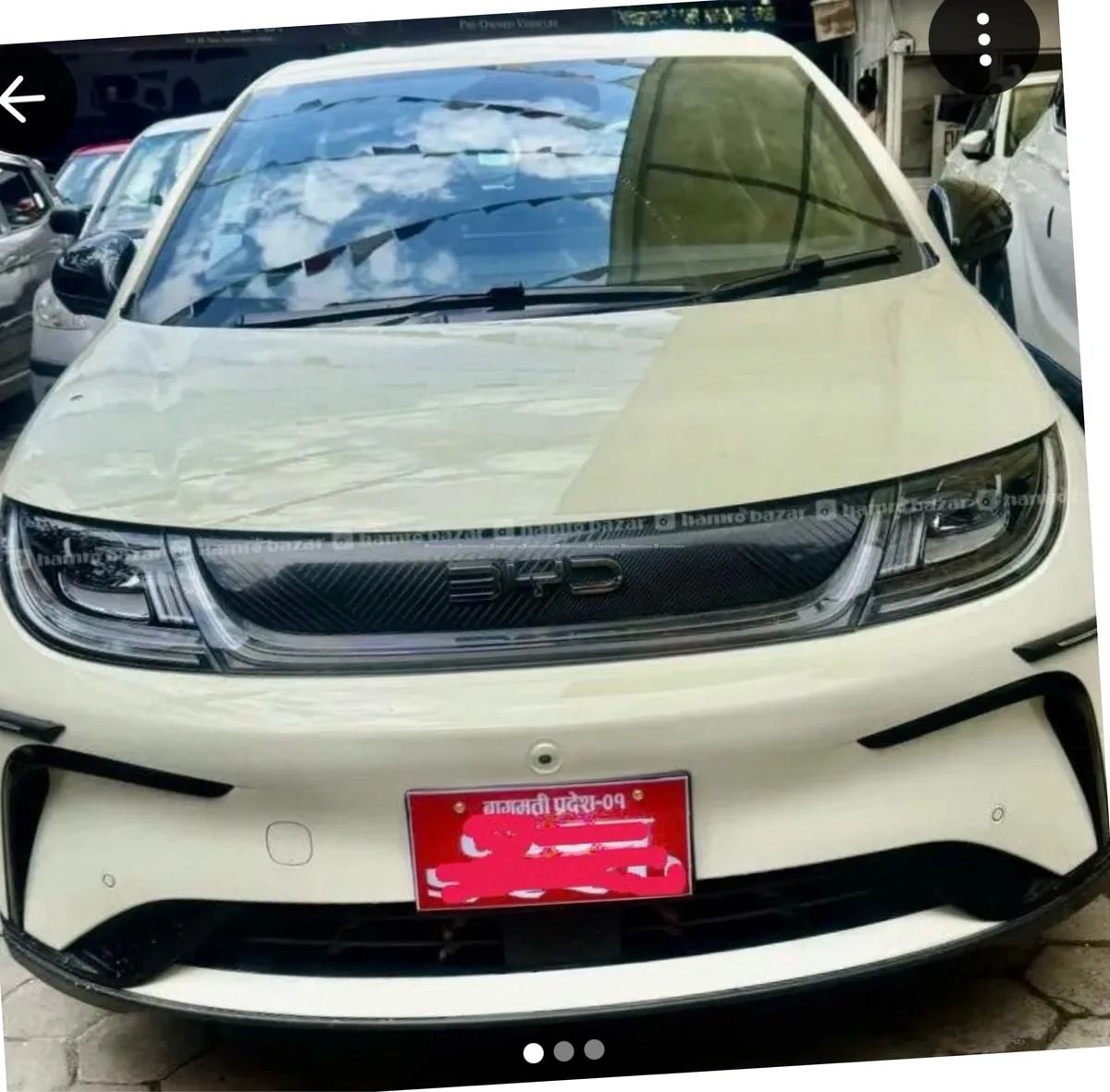 Byd dolphin - Photo 1